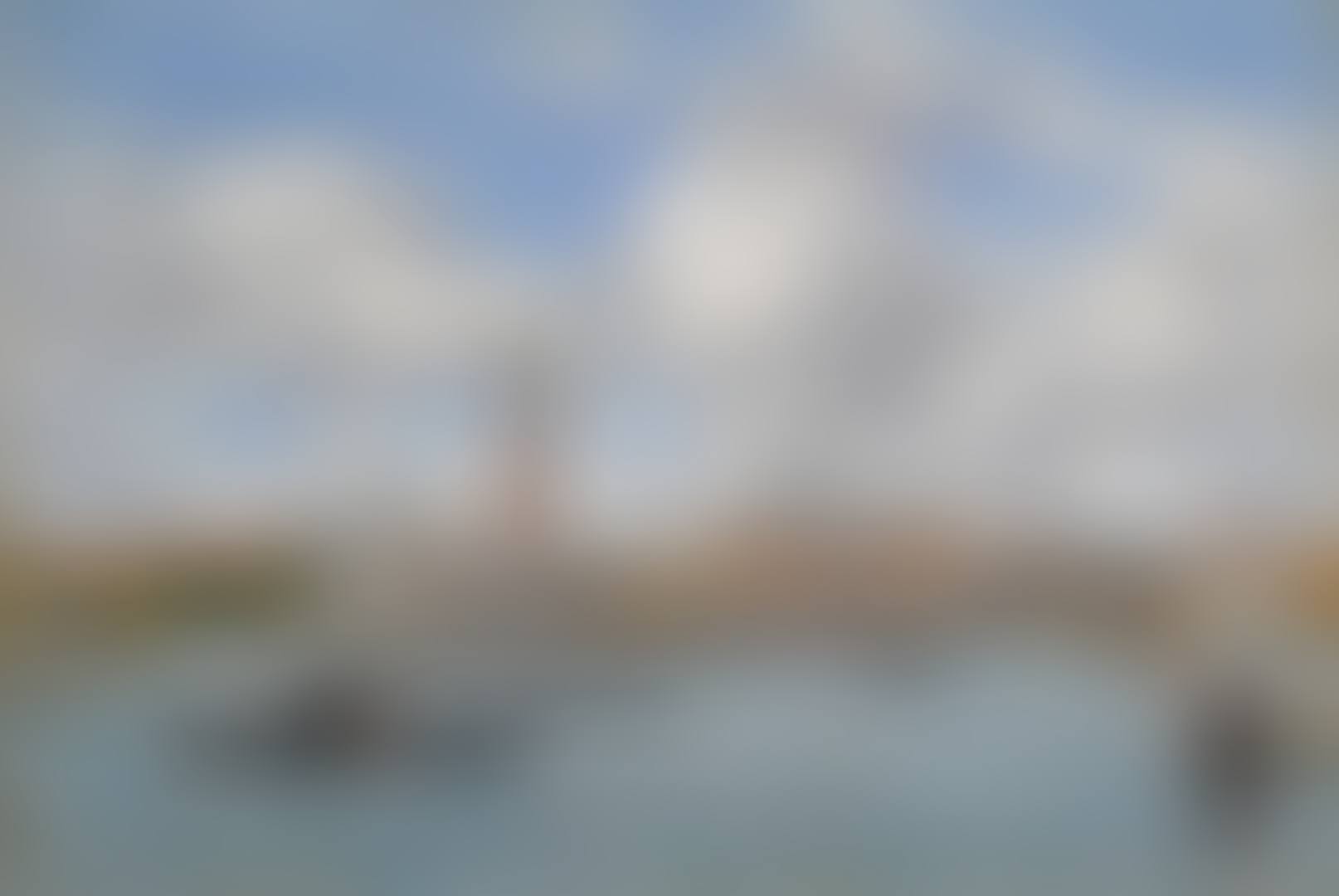 VENISE, IL CAMPANILE, LE PALAIS DUCAL (preview)