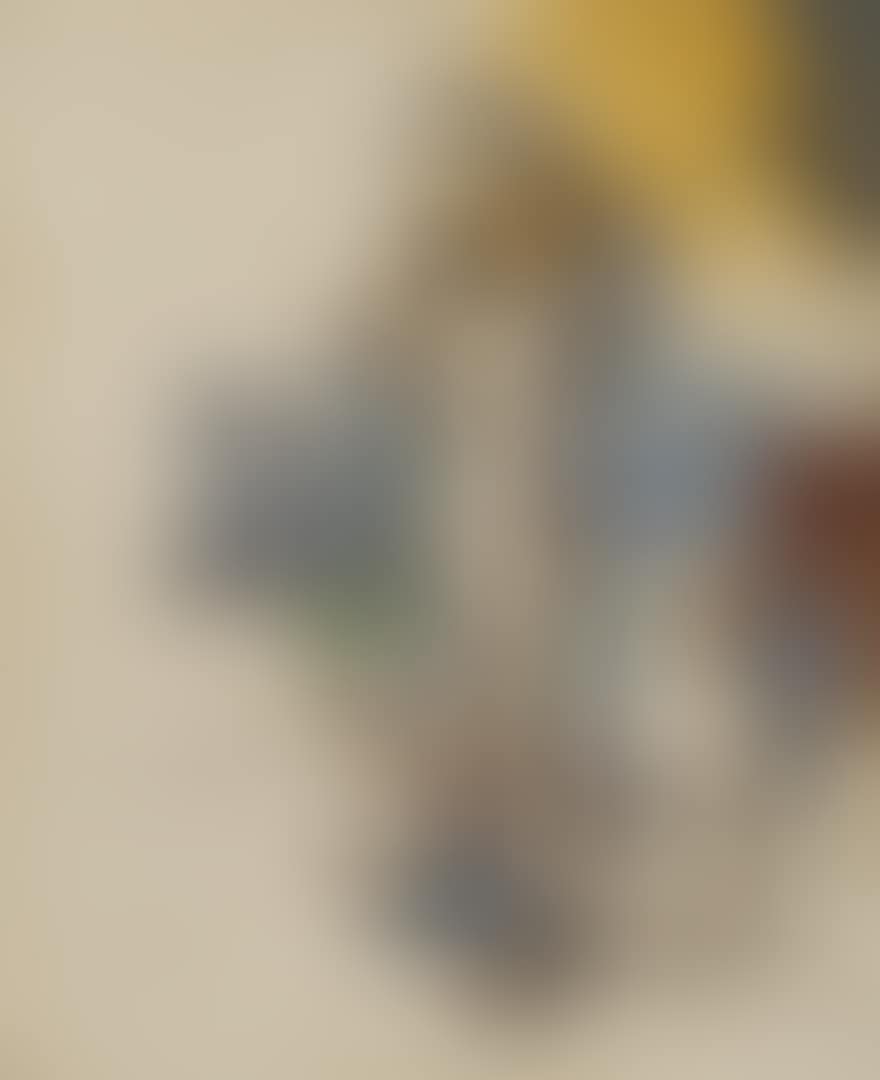 BAIGNEURS (preview)