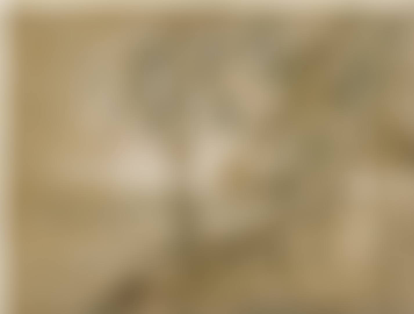 COCOTEROS (preview)