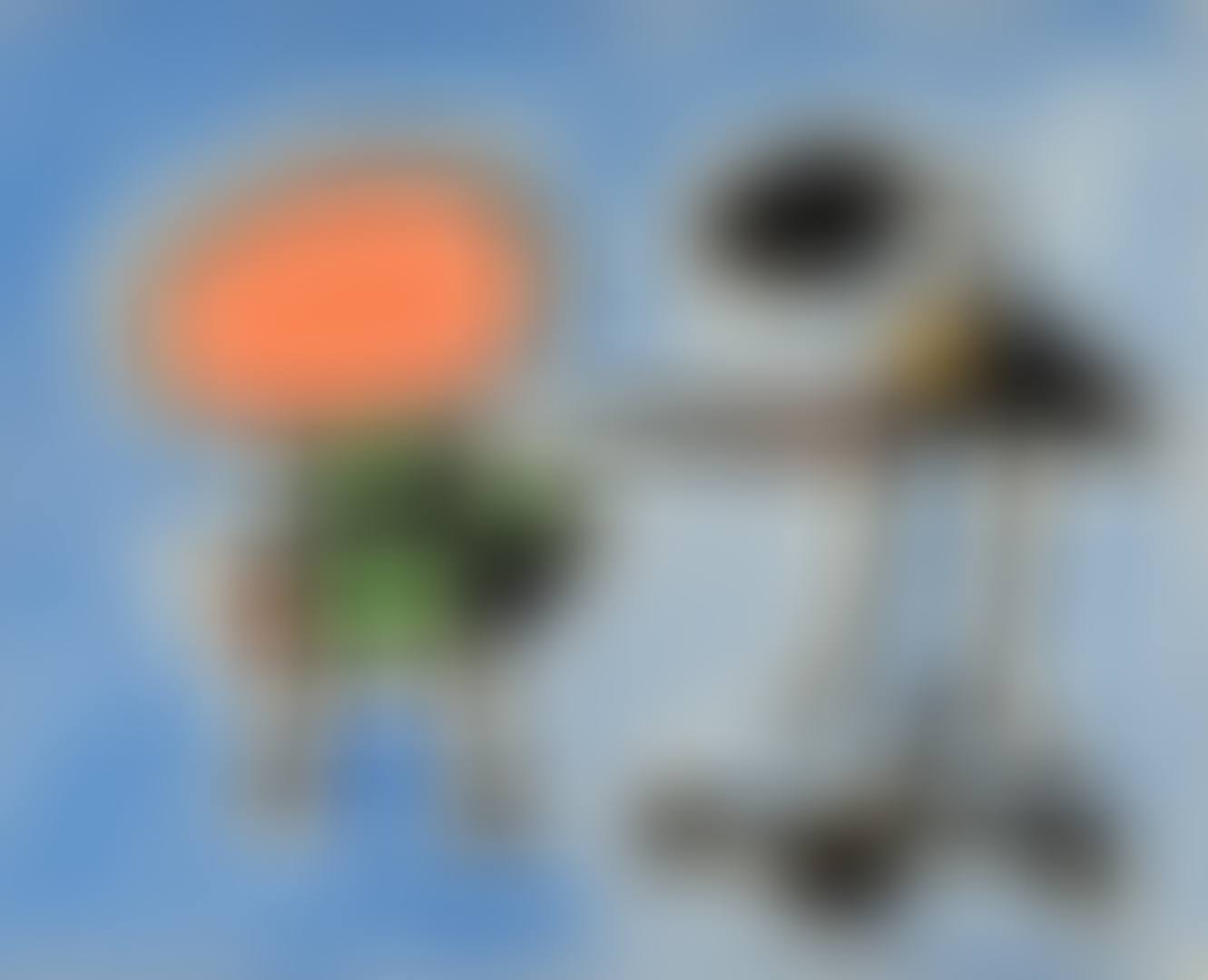 PERSONNAGES, OISEAU (preview)