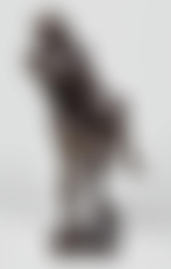 ESCULAPE DIT AUSSI EX VOTO (preview)