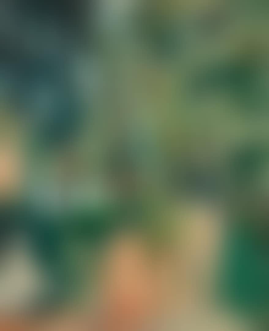 FEMME ASSISE SOUS LES ARBRES À SAMOIS (preview)