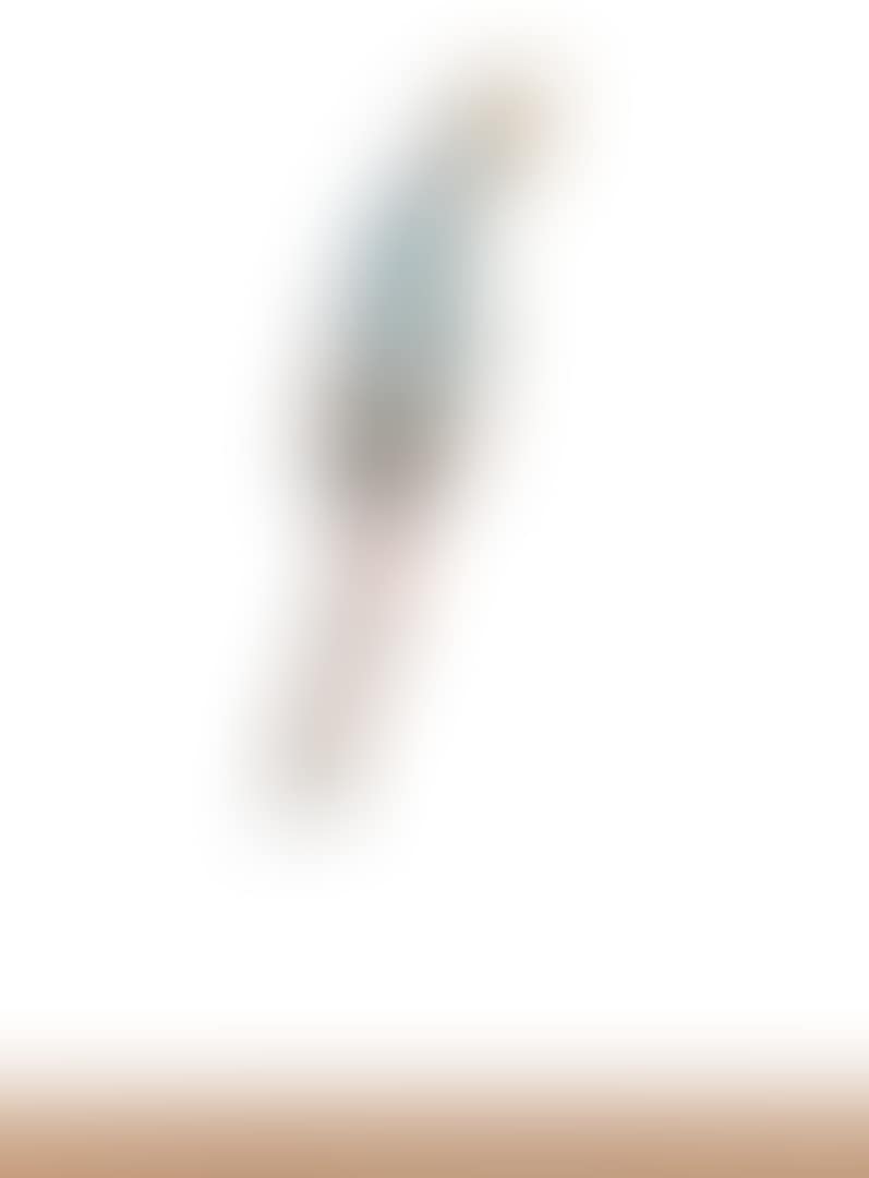SPARKLE KNOT III (preview)