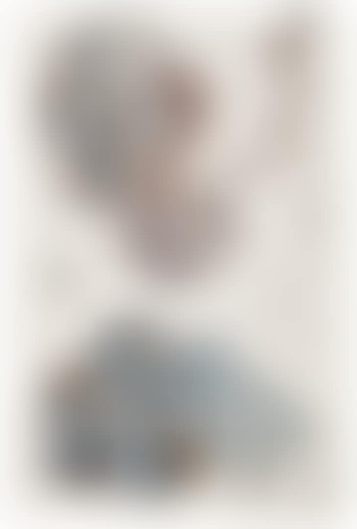 SOFT FANS (preview)