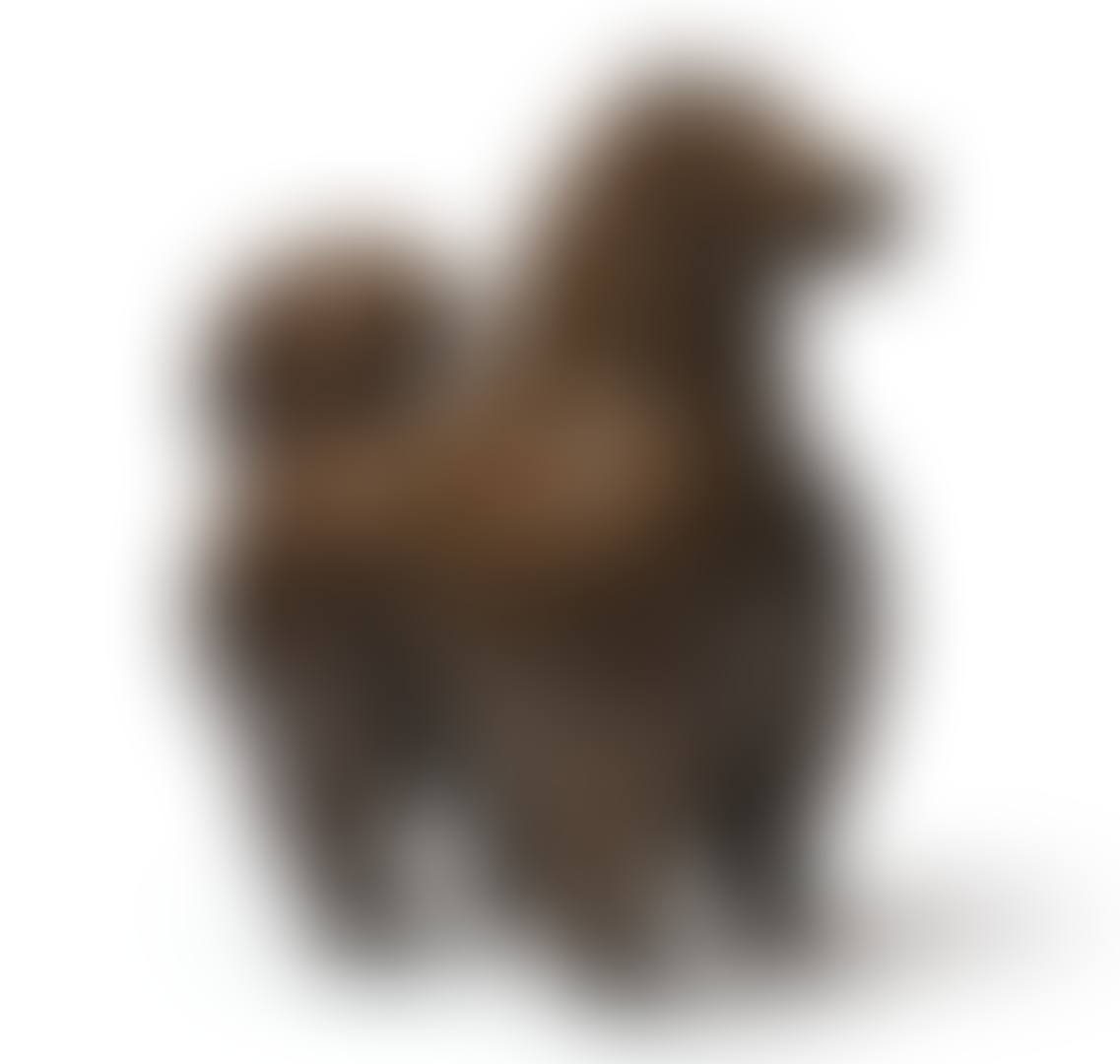 DOG (preview)