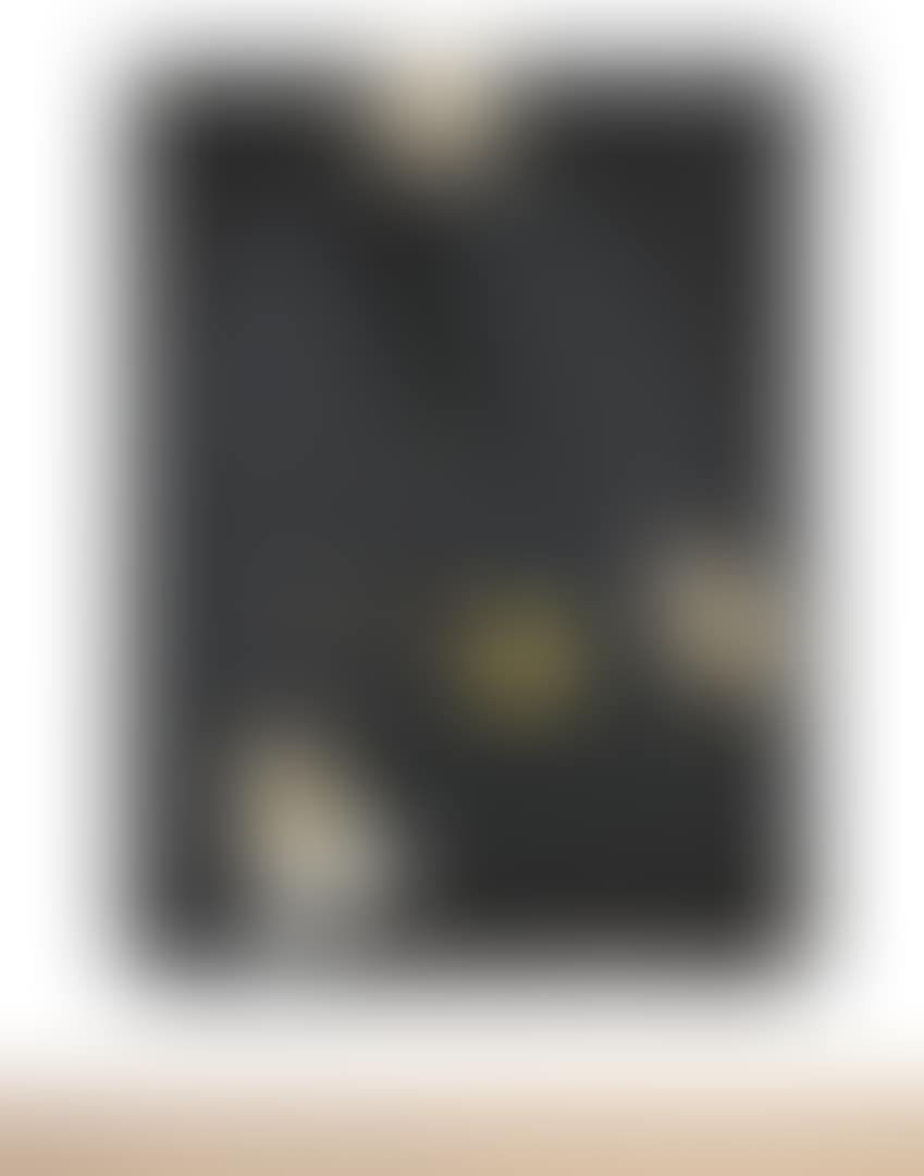 FELIPE IV (II) (preview)