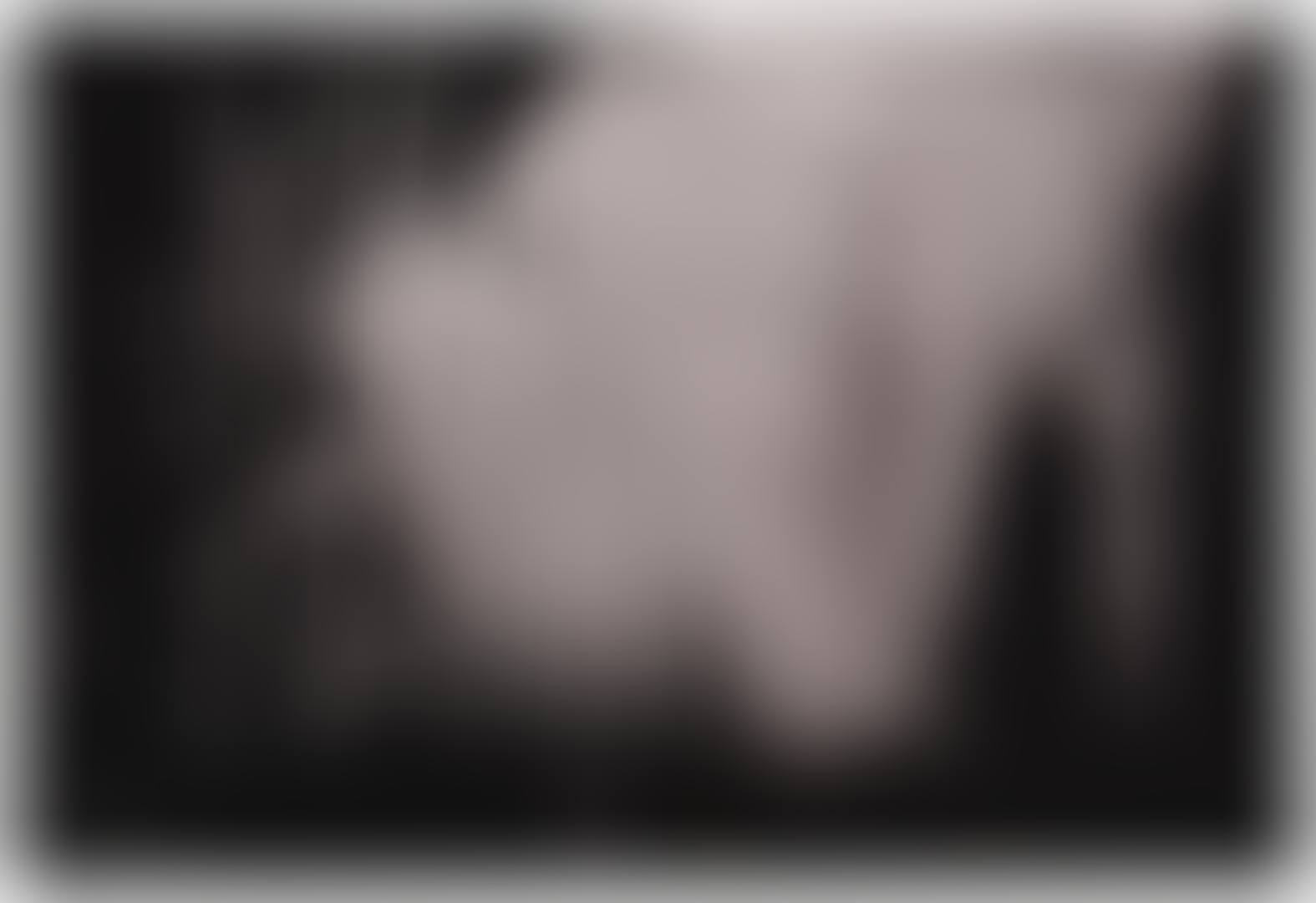 UNTITLED POZ 186 (preview)