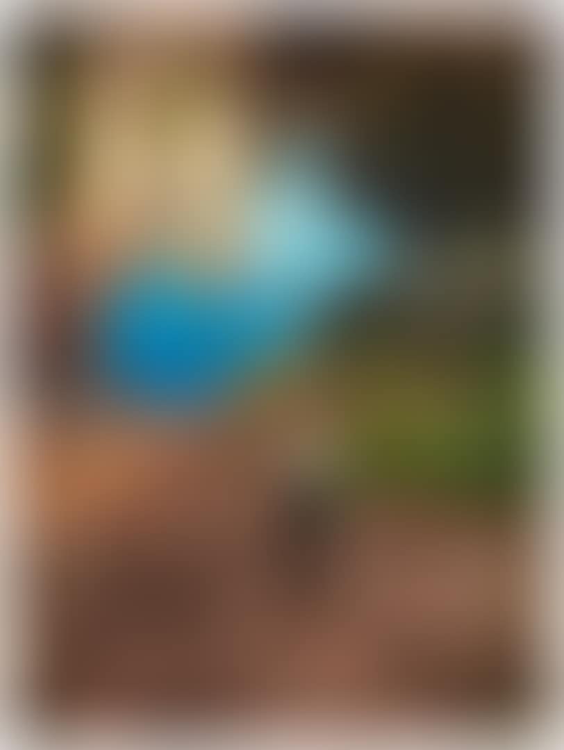 COMPACT 4 (preview)