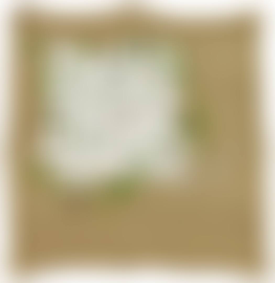UNTITLED (preview)