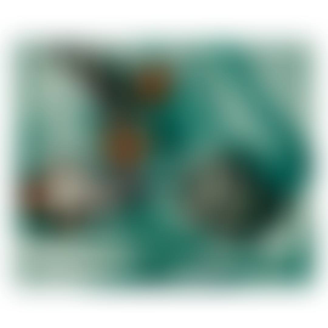 STILL LIFE WITH CONCH SHELL (preview)
