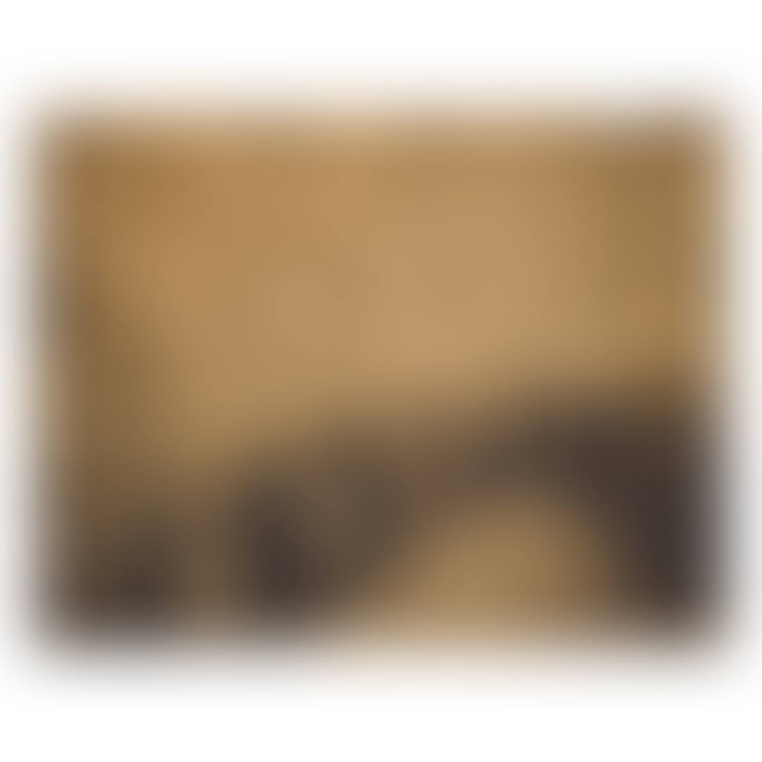 THE WESTERN WALL (preview)