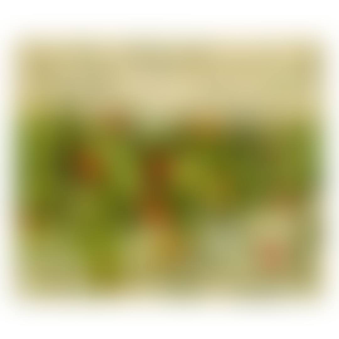 LANDSCAPE (preview)