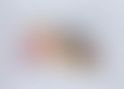 Smoker Study (preview)