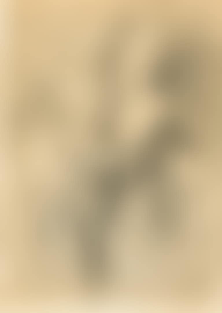 GIRL WITH FLOWERS (preview)