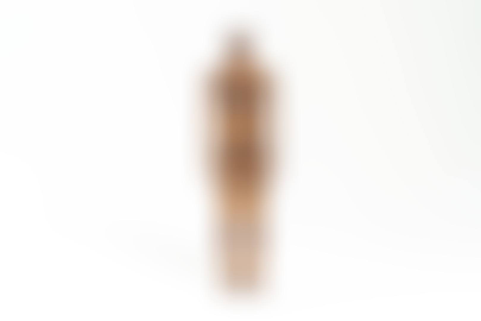 MEME CCXXII (preview)
