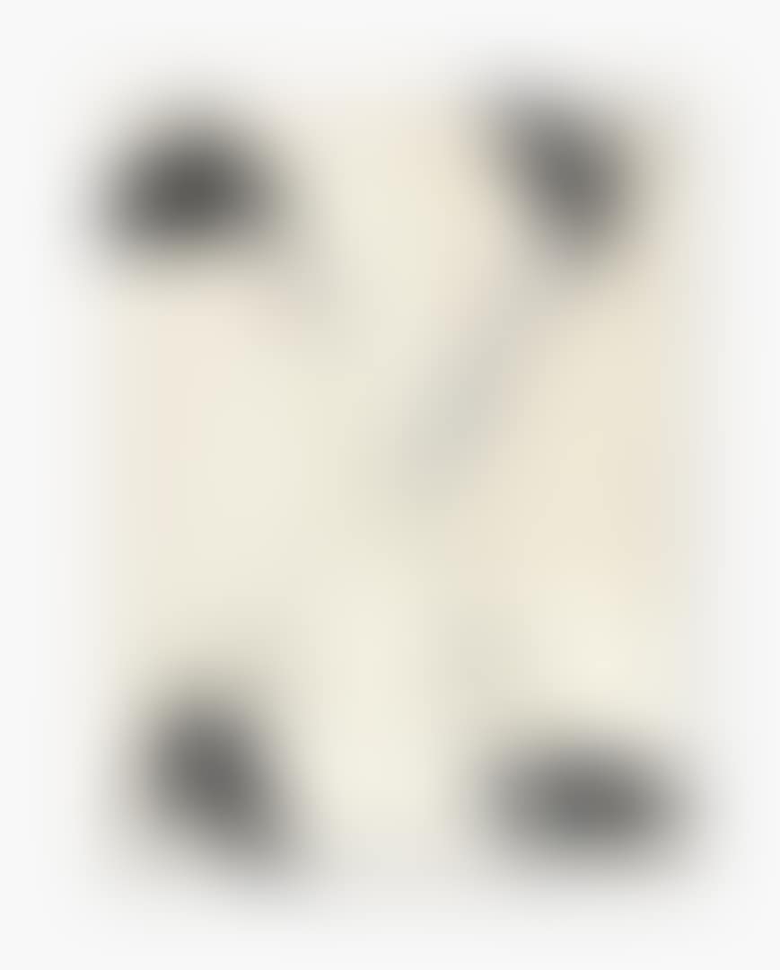 SONGS IN THE SUITCASE (LIEDER IM KOFFER) (preview)