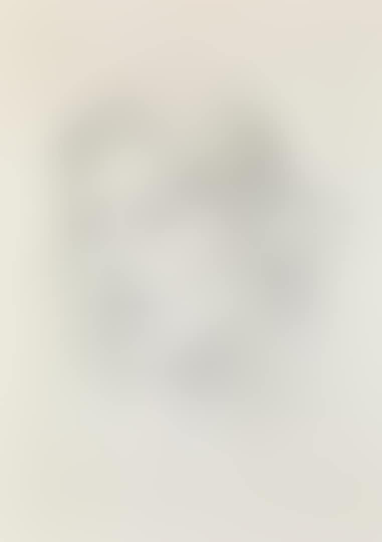 PORTRAIT OF A WOMAN (preview)