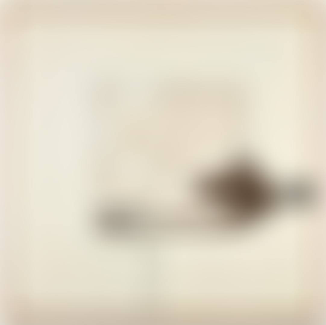 BROWN IMAGE (preview)