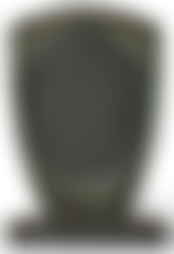 PORTHOLLAND (preview)