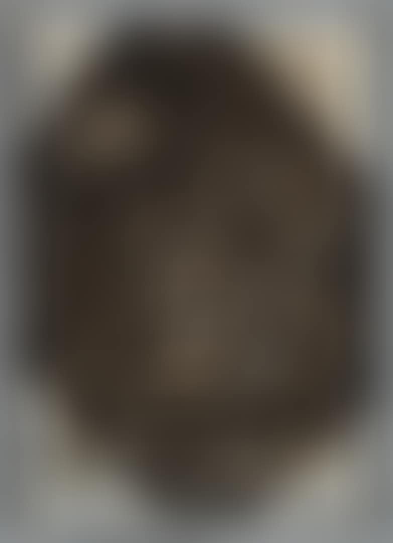 THE COW (preview)