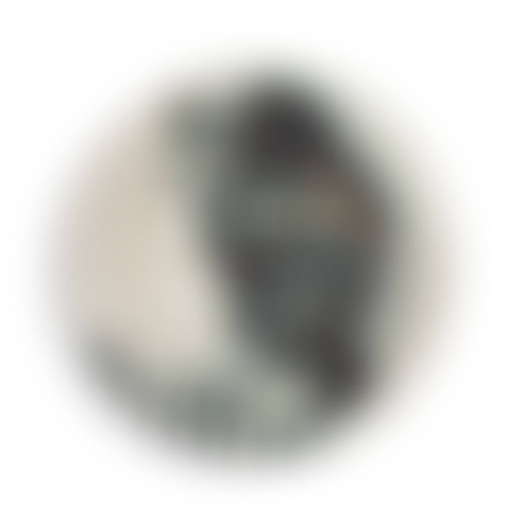 OISEAU AU VER (A. R. 172) (preview)