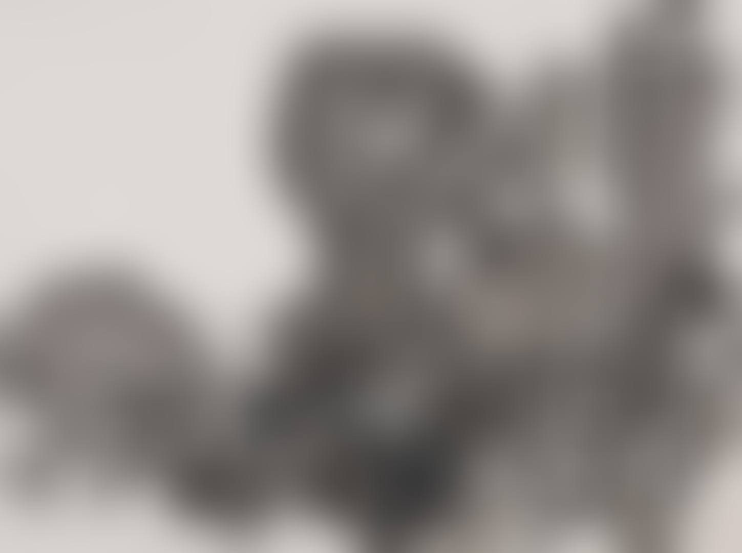 Untitled (preview)