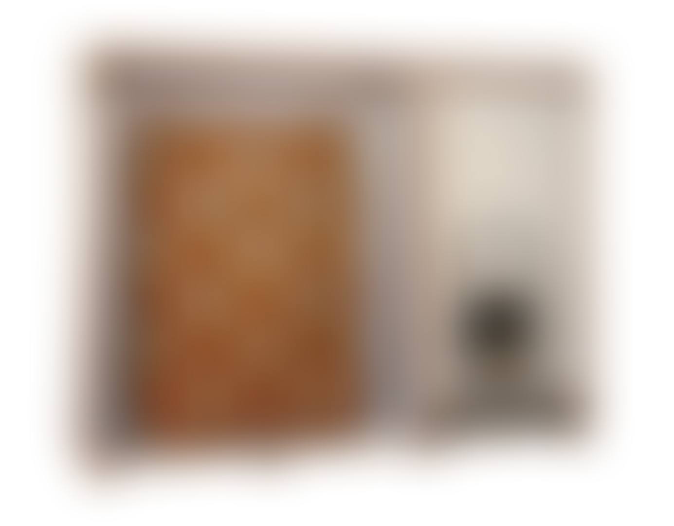 Untitled (Mattress, Shopping Cart) (preview)