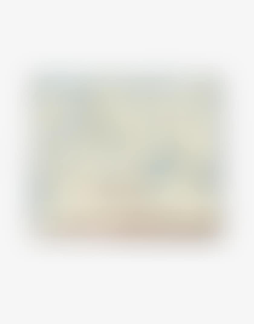 TRIBUTE TO BONNARD (preview)