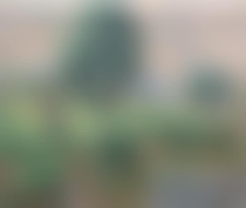 Mother and children at the edge of a river (preview)