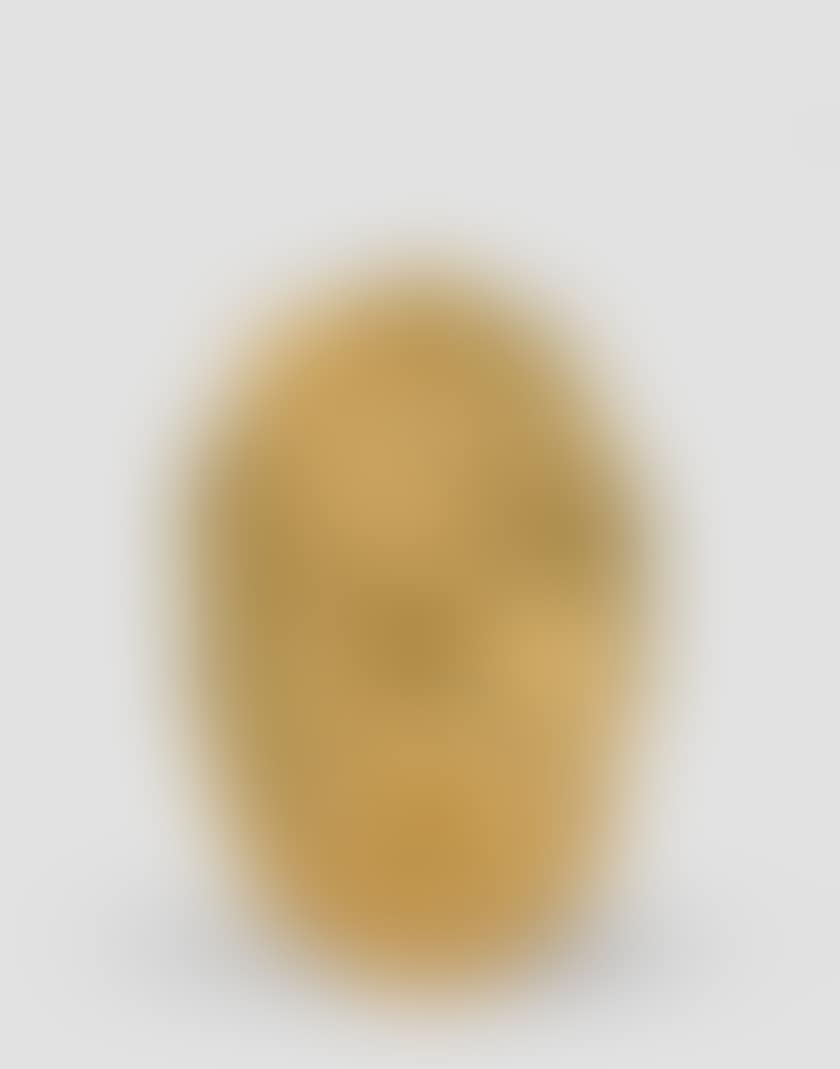 Large mask or Large oval mask (preview)