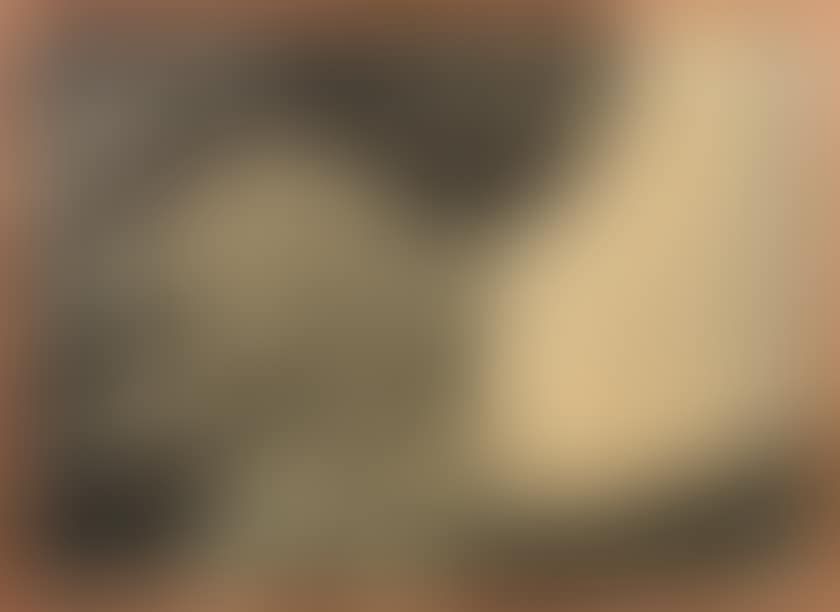PHLEGETON BERTINIFERE (preview)