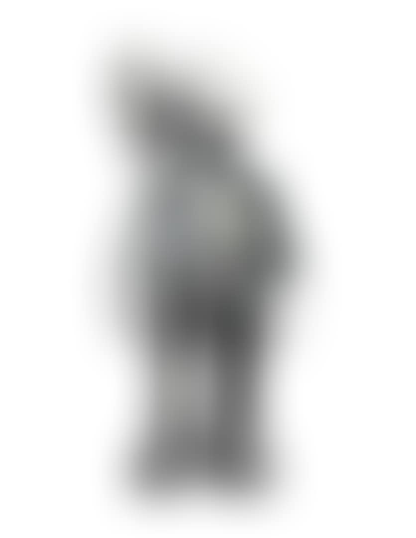 Dissected Companion (Grey) (preview)