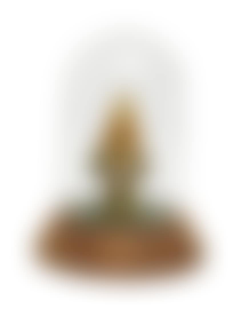 Mini Mori Girl (preview)