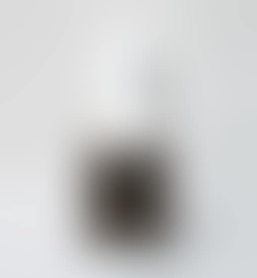 The Prototype of the Head of Morioka Pup (preview)