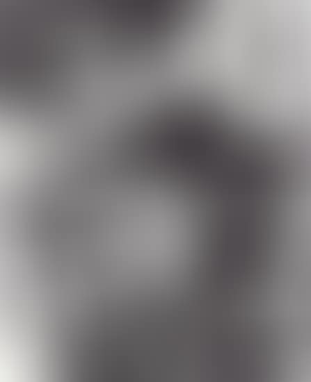 UNTITLED (MBFL10) (preview)