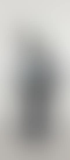 FOUR FOOT DISSECTED COMPANION (Grey) (preview)