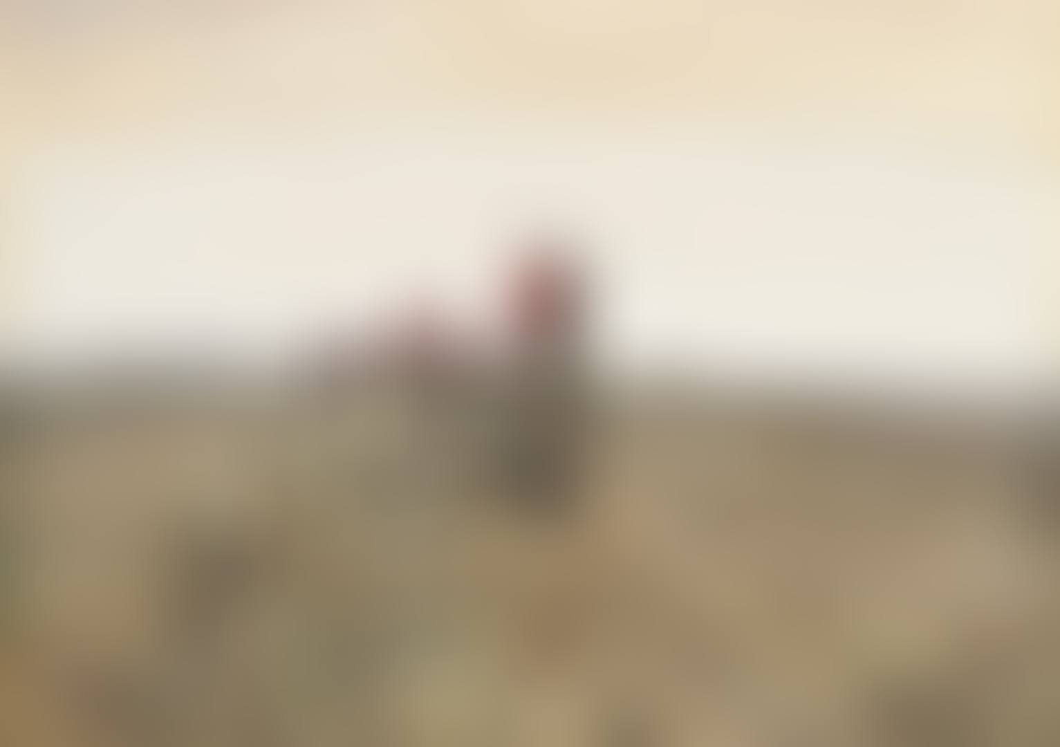 The hunt (preview)