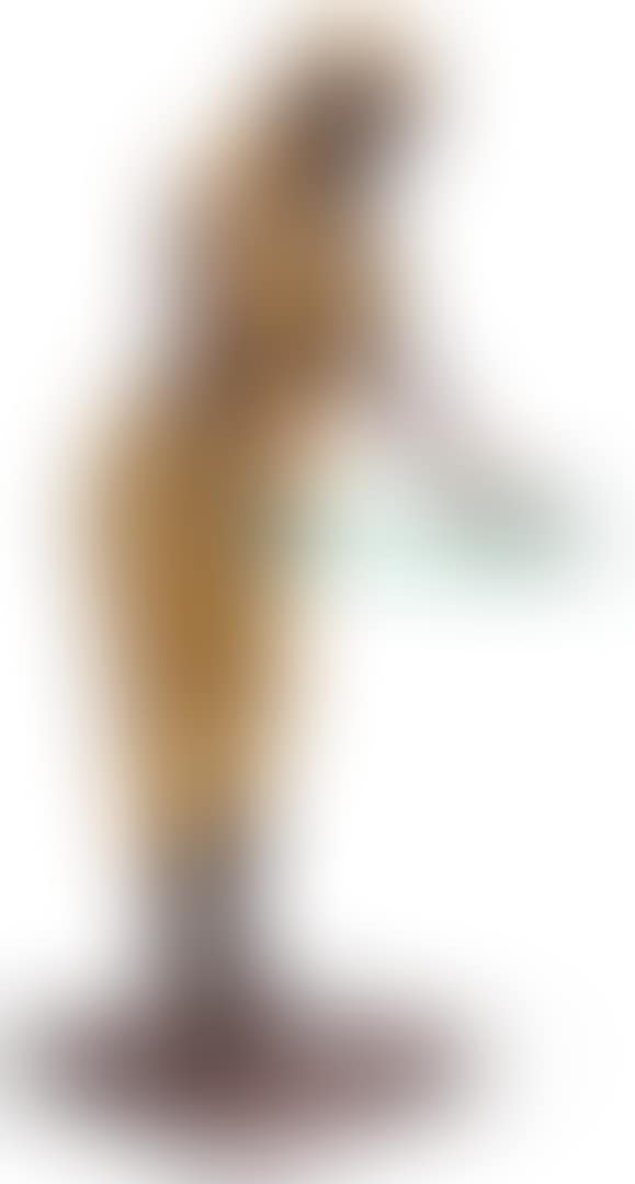 WOMAN IN ORIENTALIST COSTUME HOLDING A TRAY (preview)