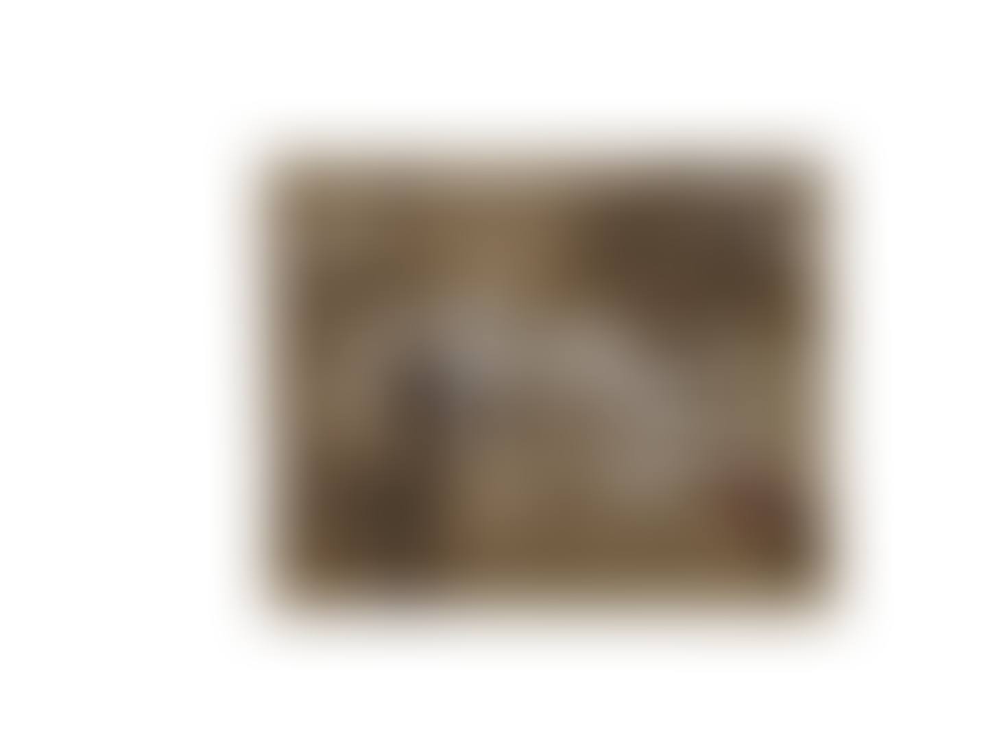 NUDE (preview)