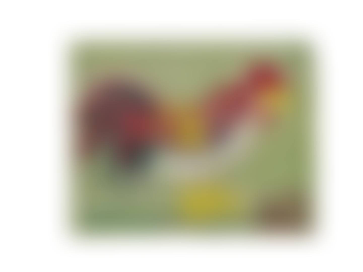 CHICKEN (preview)