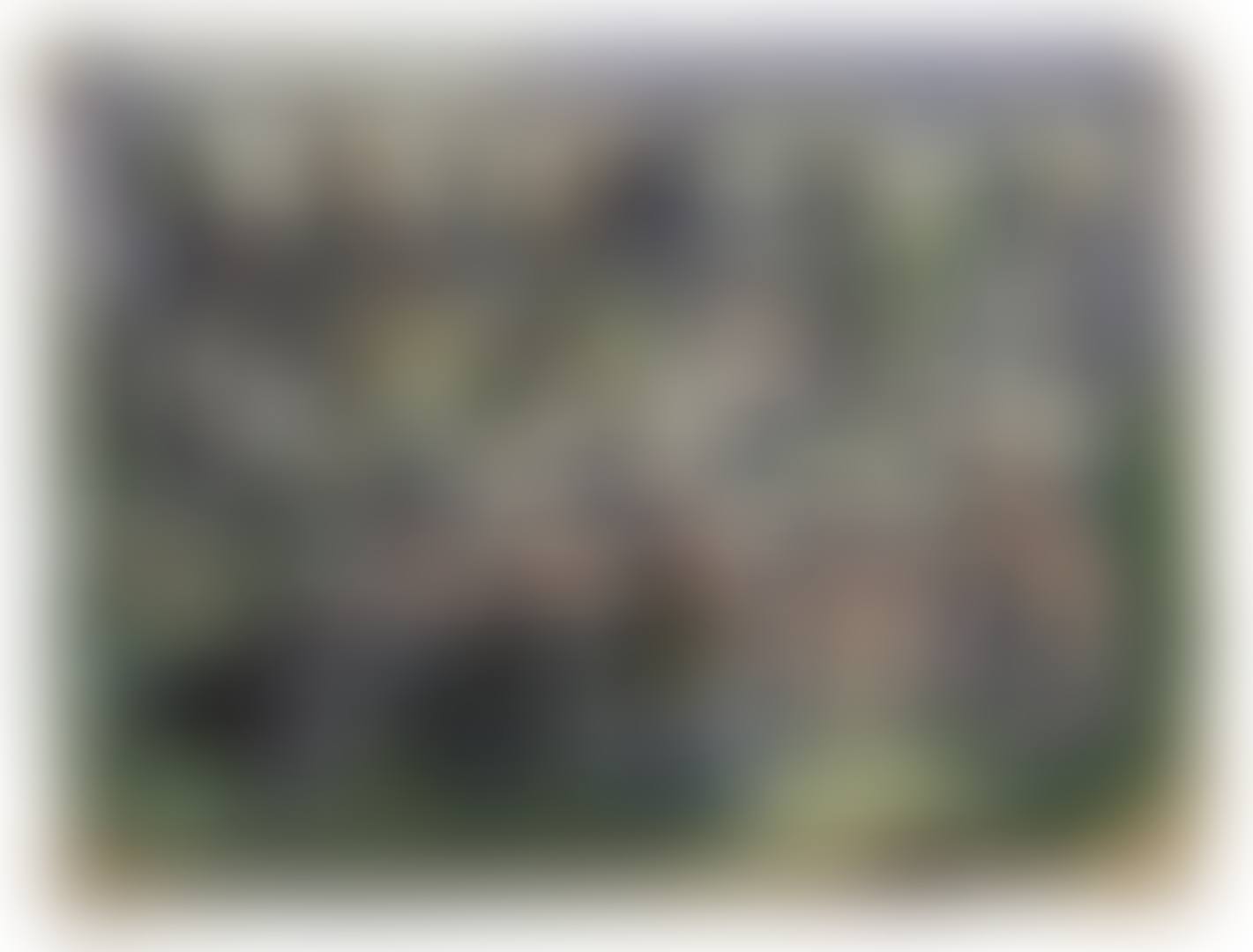 ANCIENT DANCE (preview)
