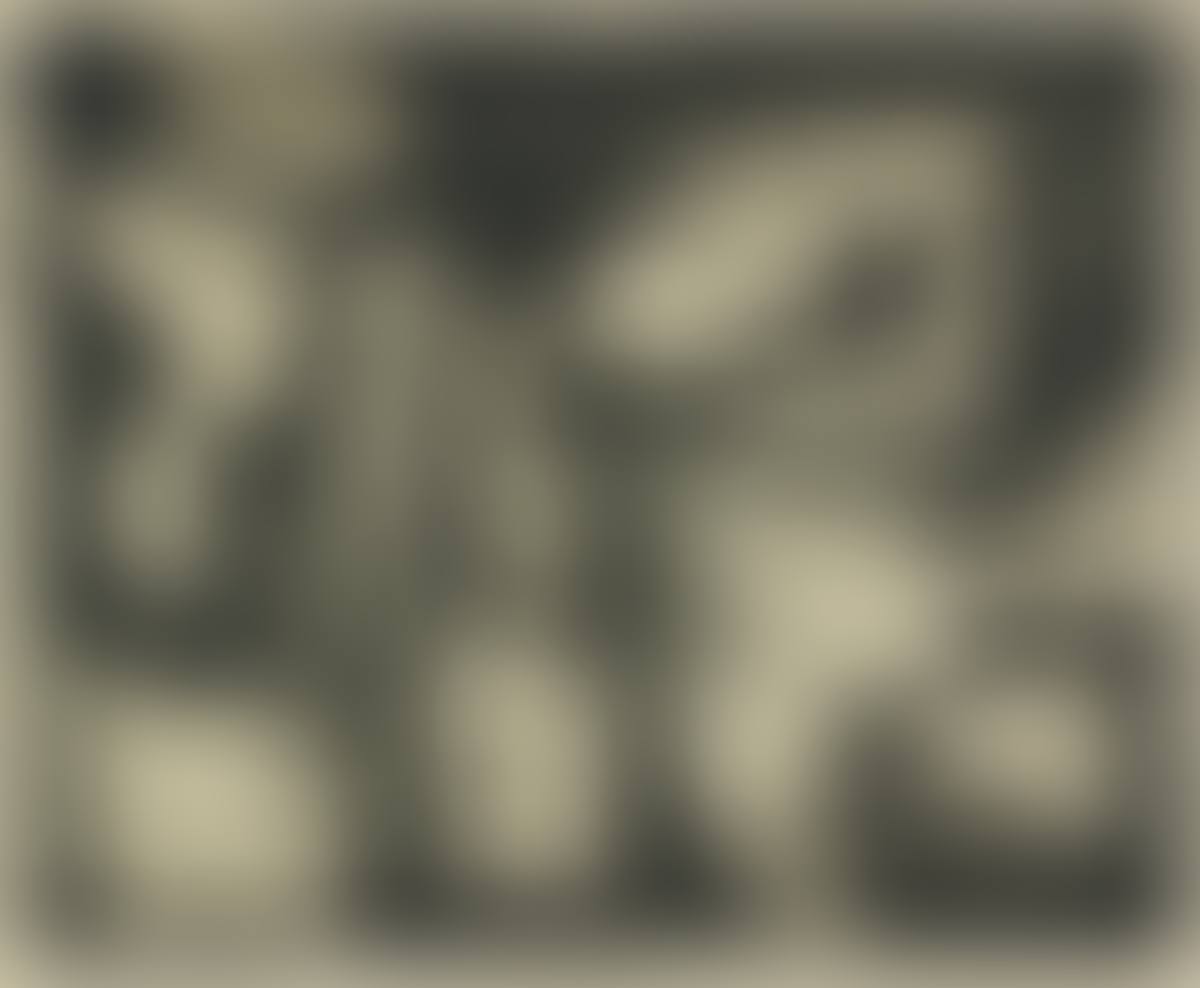 The Ancient Garden (preview)