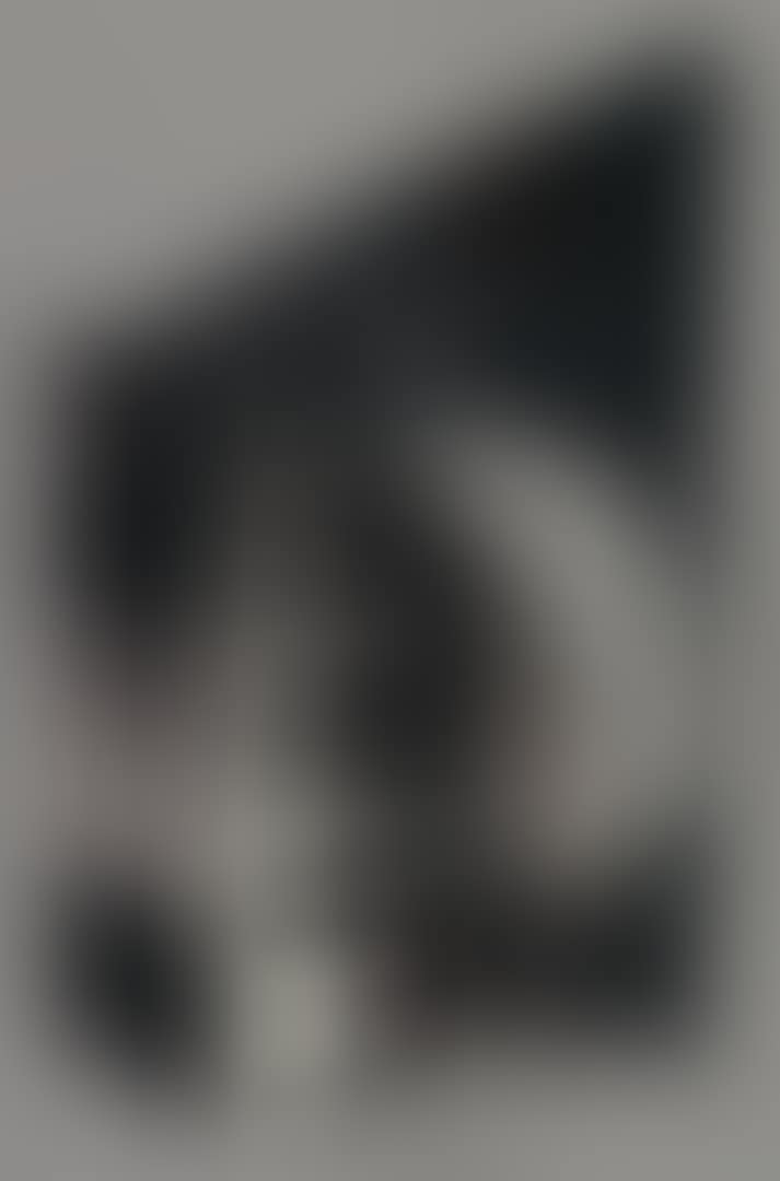 The Wind's Bastinado. (preview)