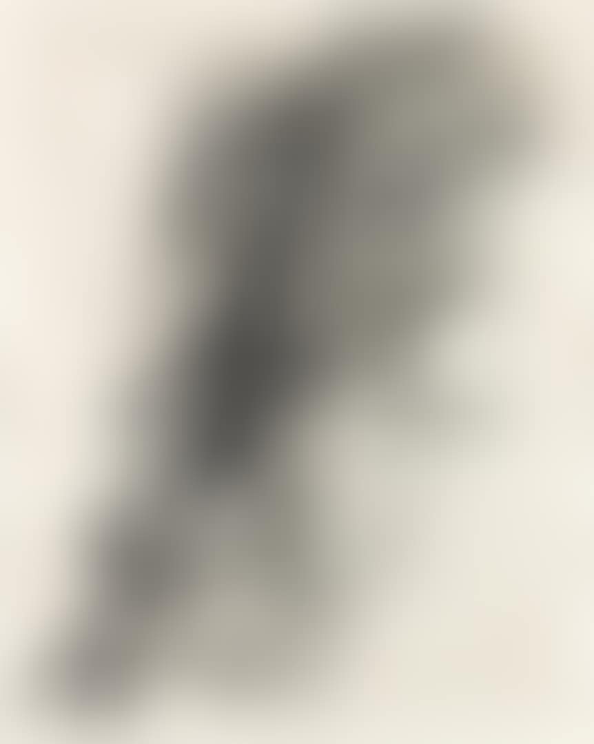 G 1973-2 (preview)