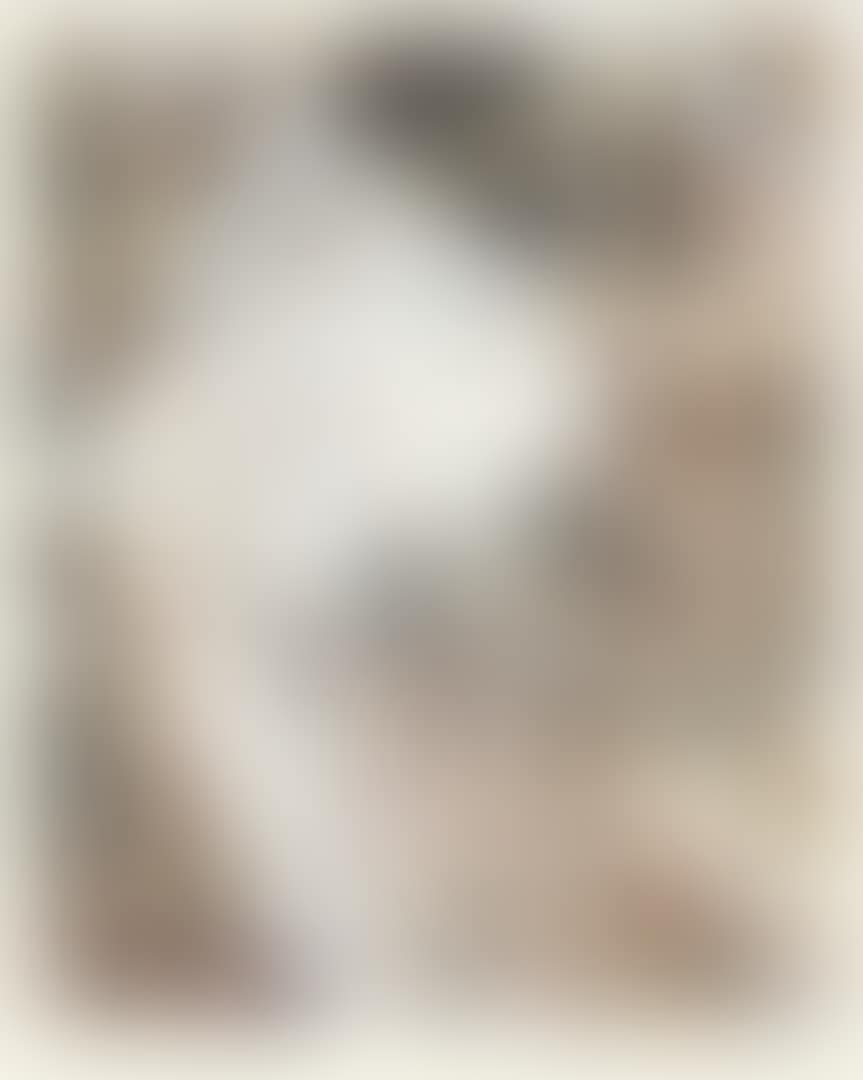 Silk Moth (preview)