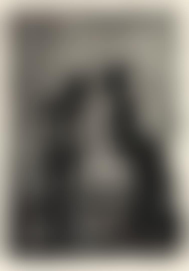 Studio Portrait (preview)