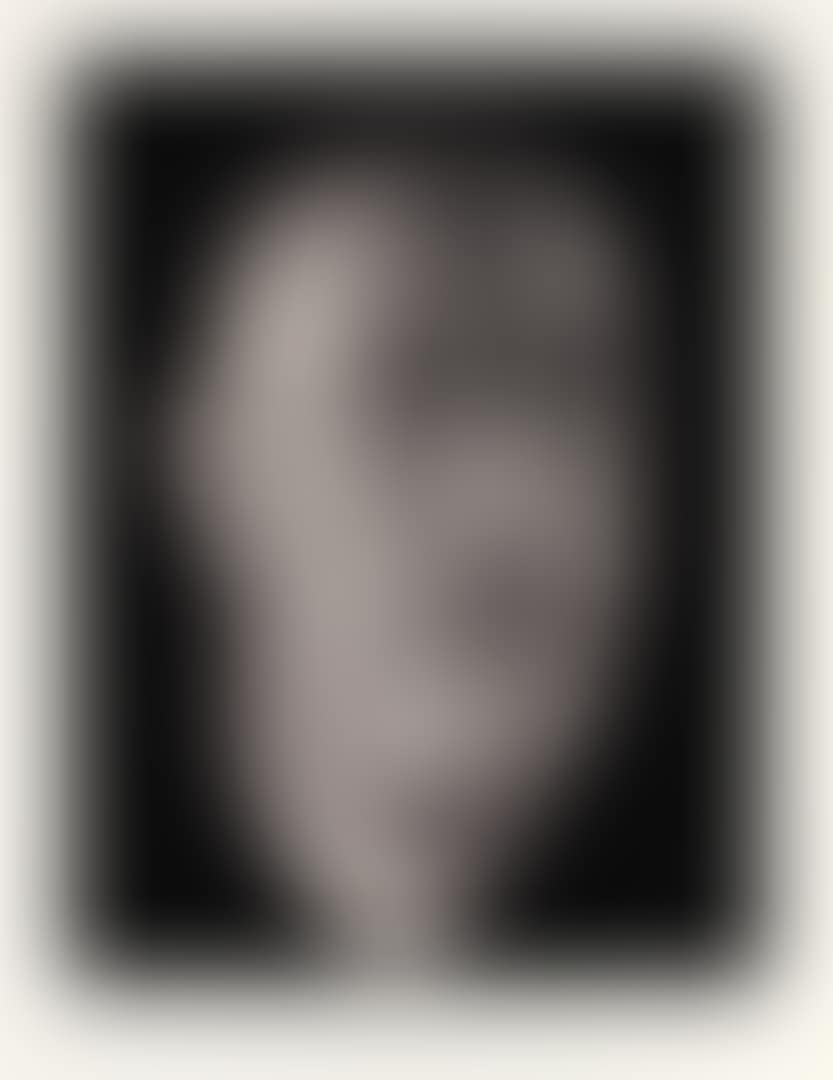 Self Portrait Portfolio (preview)