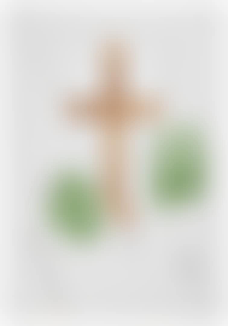 Picture (preview)