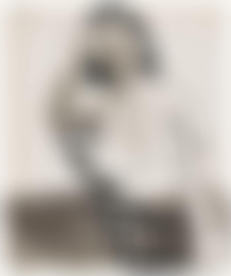 Untitled (preview)