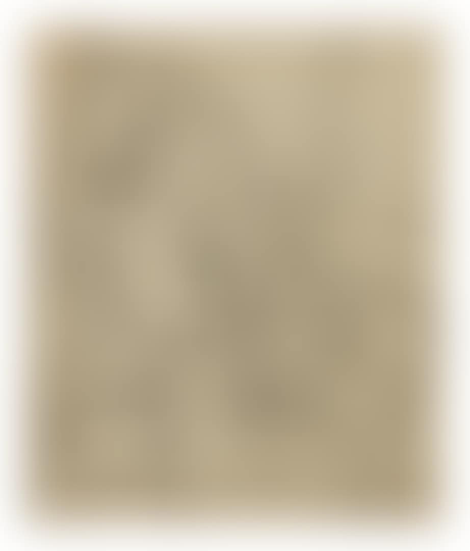 UNTITLED (preview)